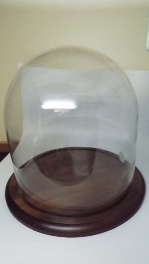 round glass dome